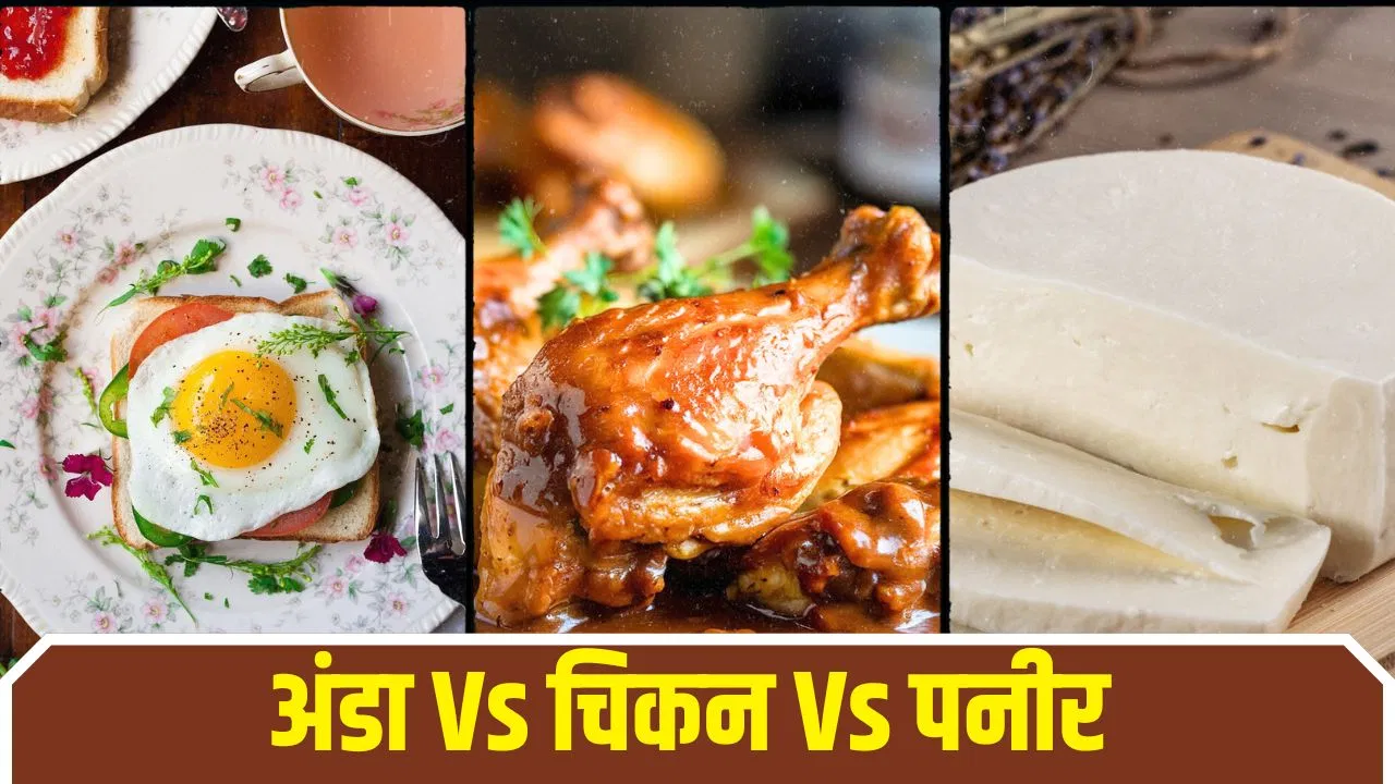 अंडा-चिकन-पनीर… तीनों में से किसमें ज्यादा होता है प्रोटीन, ये रहा सही जवाब
