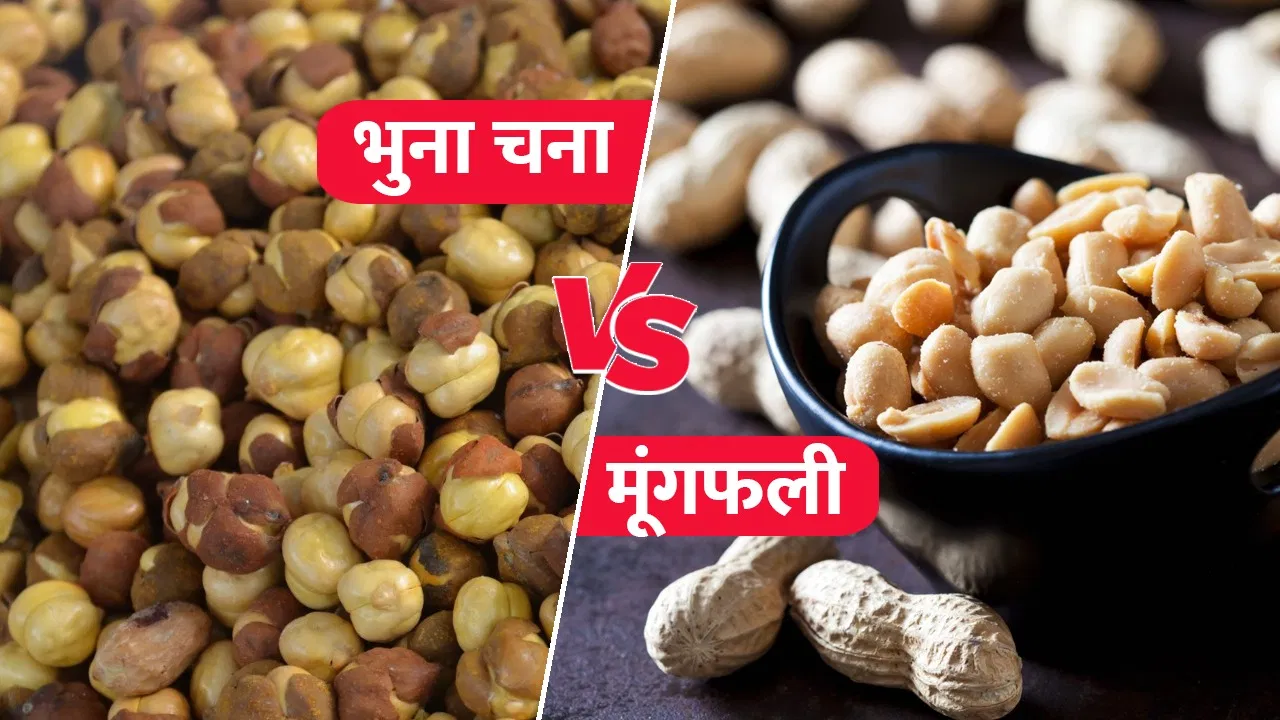 मूंगफली या भुना चना… शाम में खाने के लिए क्या है ज्यादा हेल्दी? एक्सपर्ट से जानें